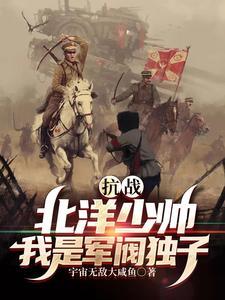 北洋军阀排行榜