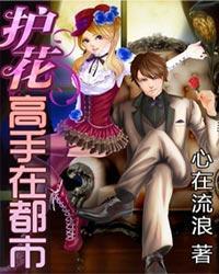 护花高手在都市漫画免费观看