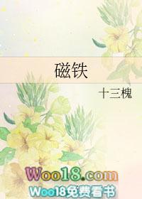 磁铁可以吸哪些金属