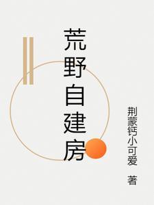 荒野建房子视频