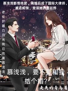 墨总夫人又偷生个娃