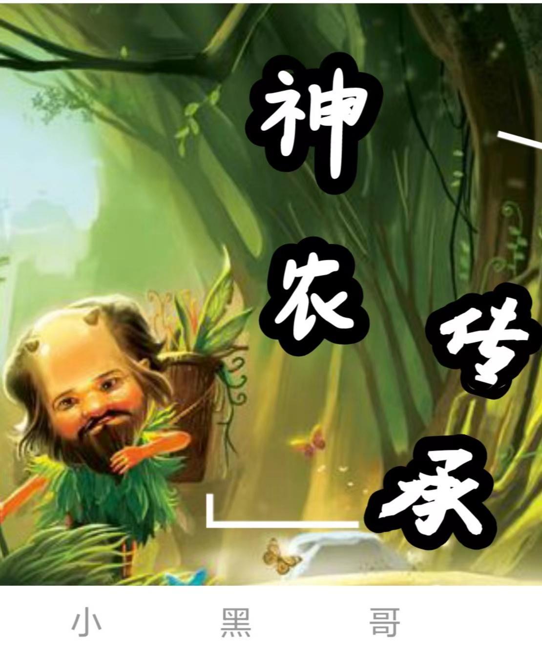 神农传承林小山全文免费阅读