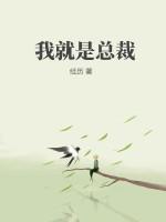 我就是总裁 经历