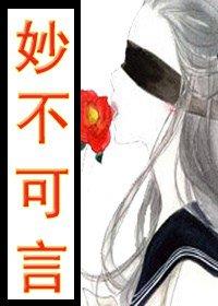 妙不可言的意思