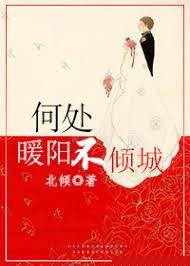 何处暖阳不倾城TXT免费