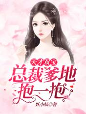 天才双宝总裁爹地轻轻宠