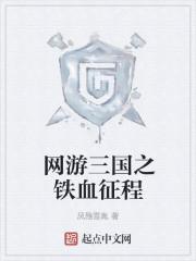 网游三国之天下征途